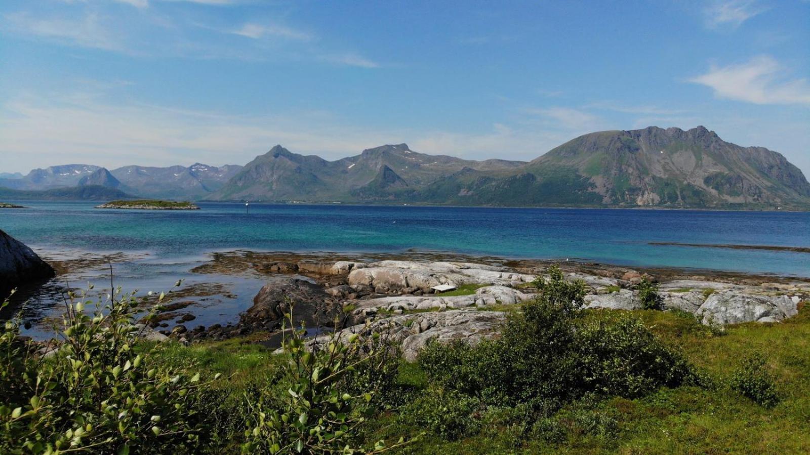 New! Spectacular Cabin In Lofoten Villa Kleppstad Kültér fotó